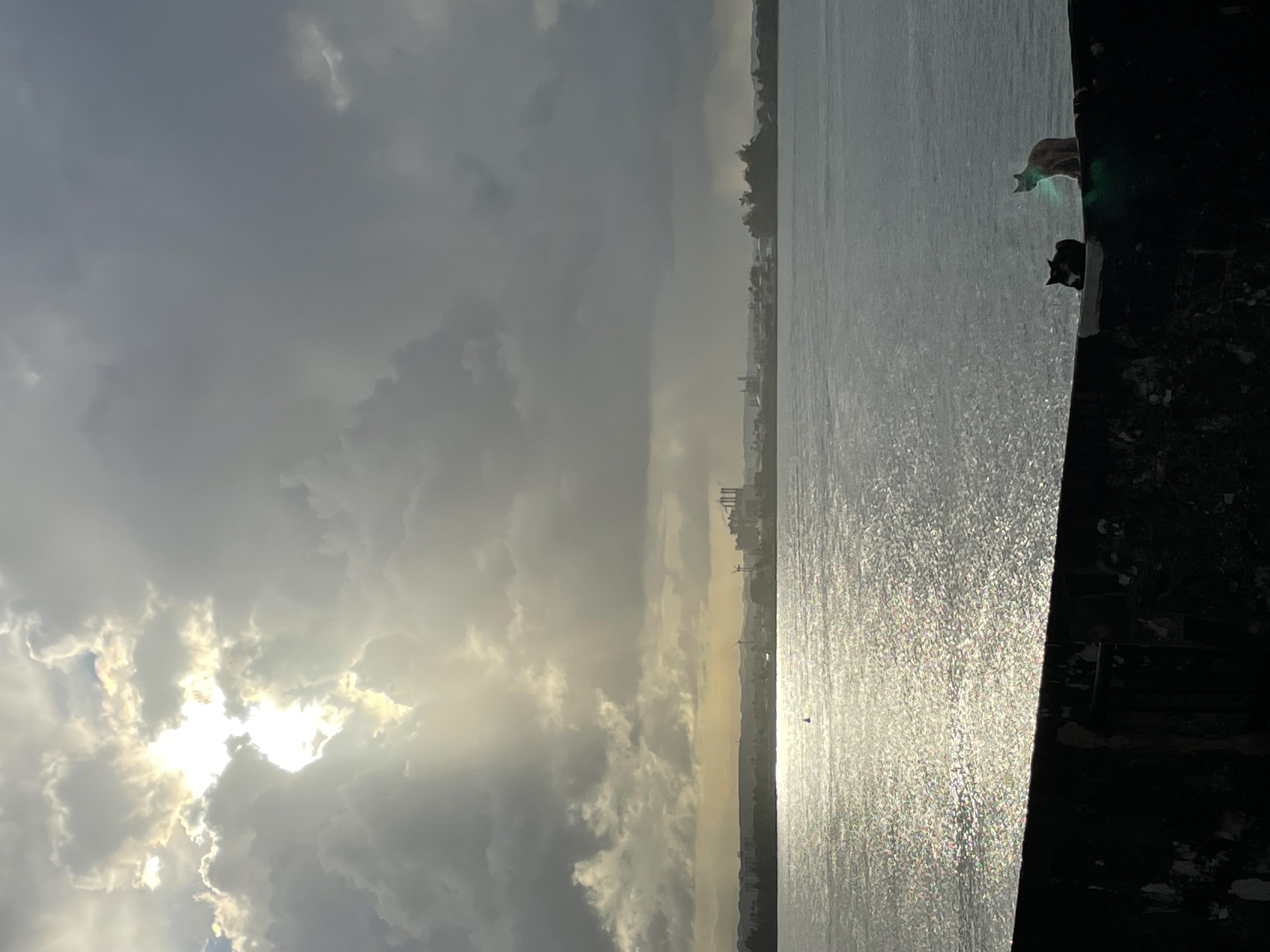 light